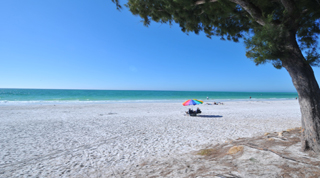 Gulf Coast Florida Villa Holidays Gulf Coast Florida Villa Holidays by TailorMadeFlorida.com